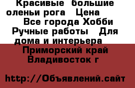 Красивые  большие оленьи рога › Цена ­ 3 000 - Все города Хобби. Ручные работы » Для дома и интерьера   . Приморский край,Владивосток г.